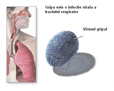 Virusul gripal